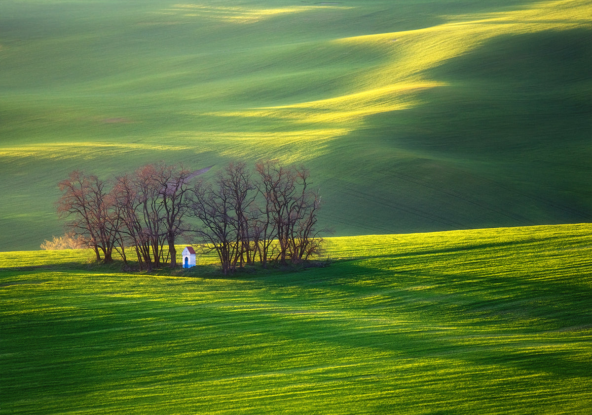 Fields... - Posterbox