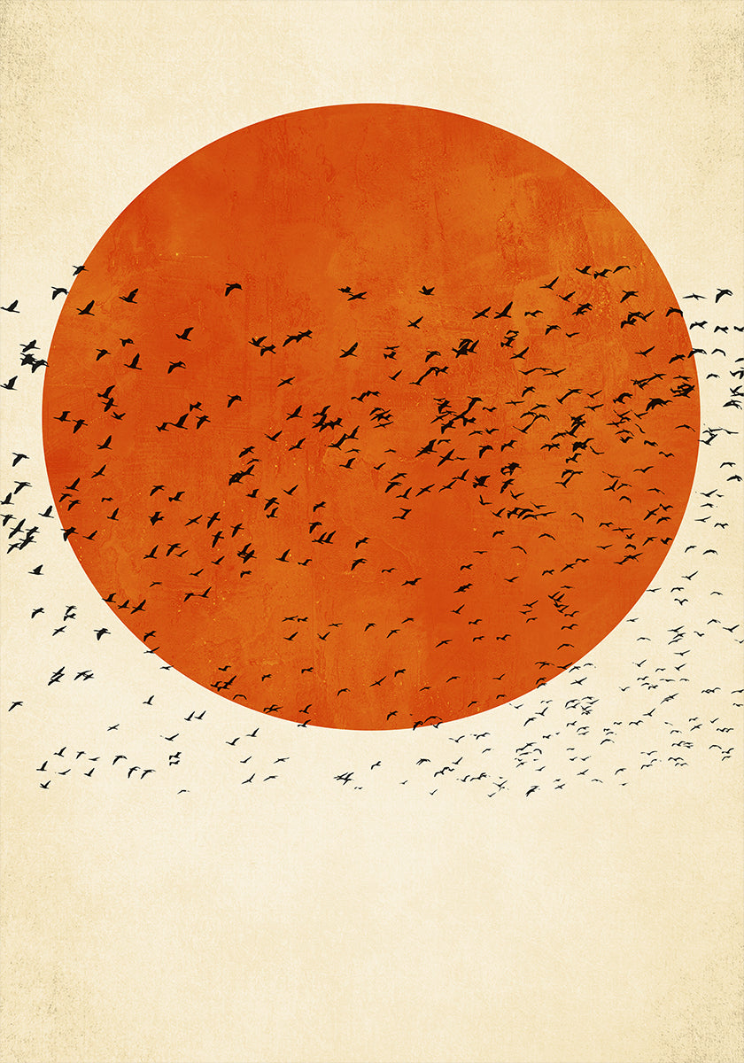 Birds In the Sun Plakat - Posterbox