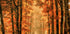 Exit the Portal Plakat - Posterbox
