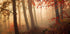 Towards the light. - Posterbox