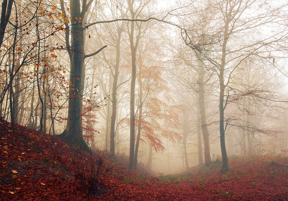Waiting for the deer. - Posterbox