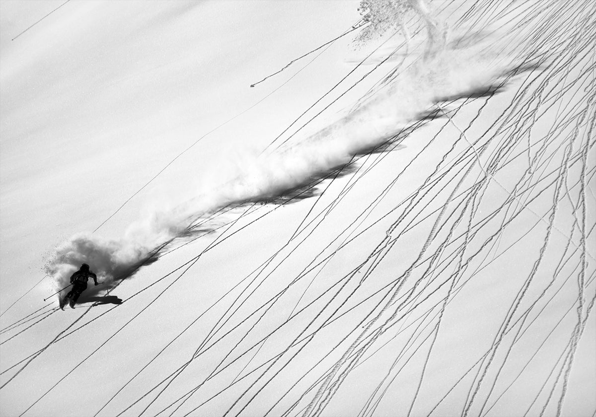 Skiing Powder - Posterbox