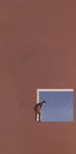 Curiosity Plakat - Posterbox