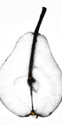 Pear (NEW) - Posterbox