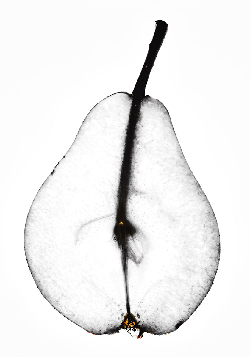 Pear (NEW) - Posterbox