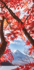 Mt.fuji is in the autumn leaves Plakat - Posterbox