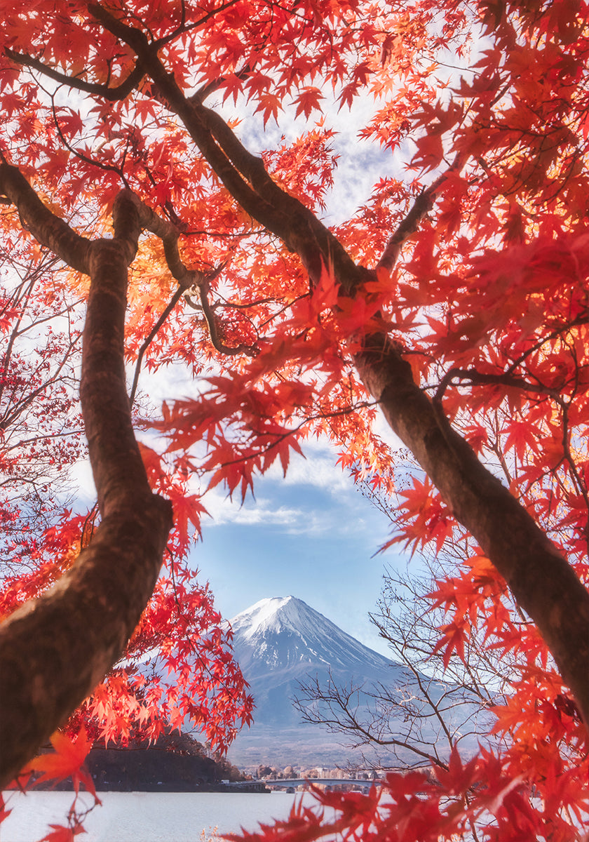 Mt.fuji is in the autumn leaves Plakat - Posterbox