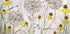 Alliums and heleniums Plakat - Posterbox