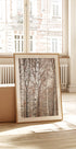Birch Trees 6 Plakat - Posterbox
