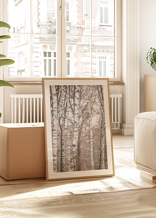 Birch Trees 6 Plakat - Posterbox