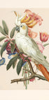 Henriëtta’s Bird (NEW) - Posterbox
