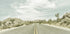 Vintage Joshua Trees, Park Boulevard Plakat - Posterbox