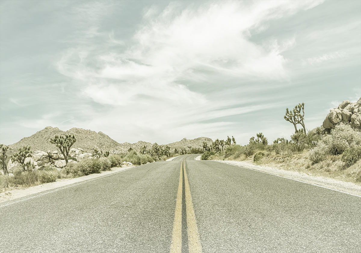 Vintage Joshua Trees, Park Boulevard Plakat - Posterbox