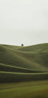 Foggy Green Hill (NEW) - Posterbox