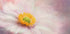 Dreams of Flower (NEW) - Posterbox