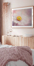 Dreams of Flower (NEW) - Posterbox