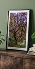 Japanese Maple Tree - Posterbox