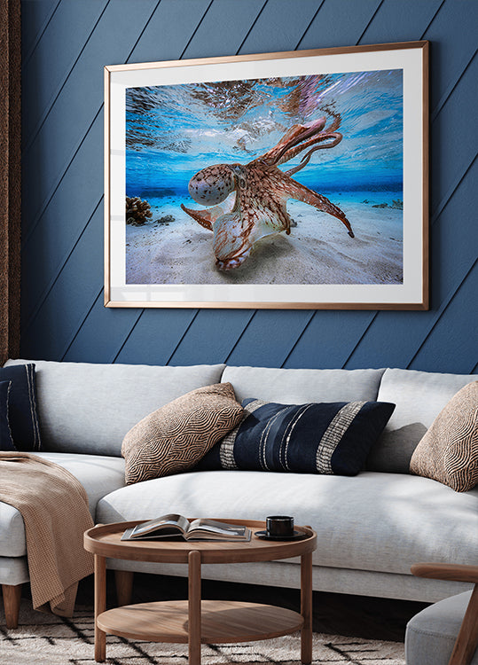 Dancing Octopus Plakat