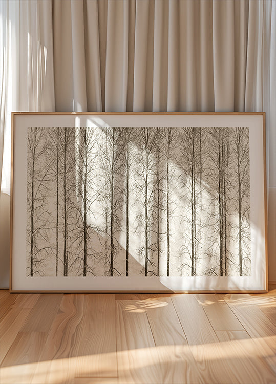 Aspens Plakat
