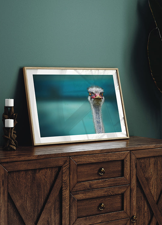 Ostrich Protecting two Poor Chicken from the Wind