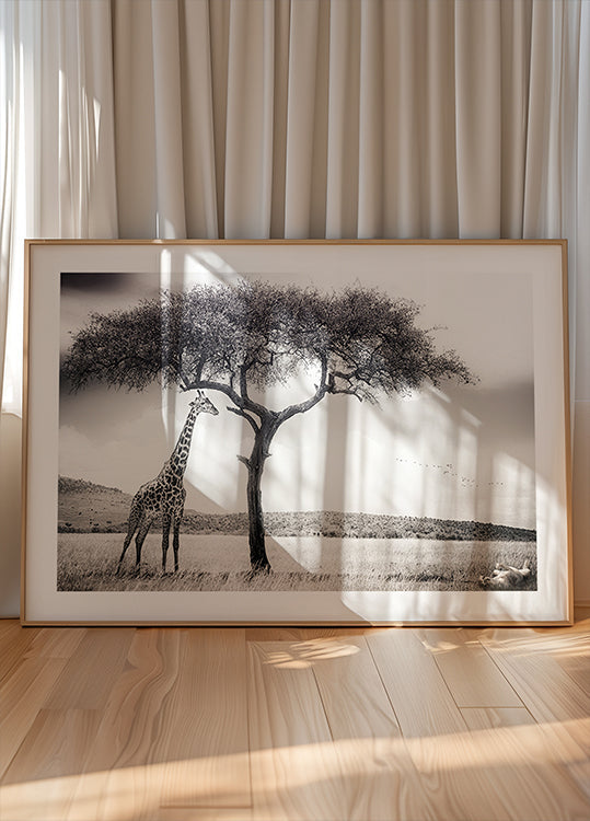 under the African sun Plakat