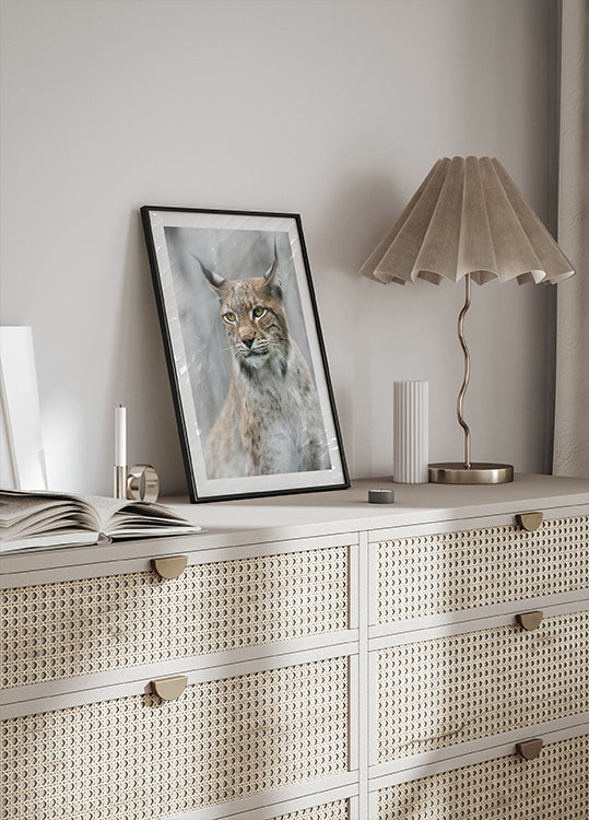 Lynx portrait in the fog Plakat