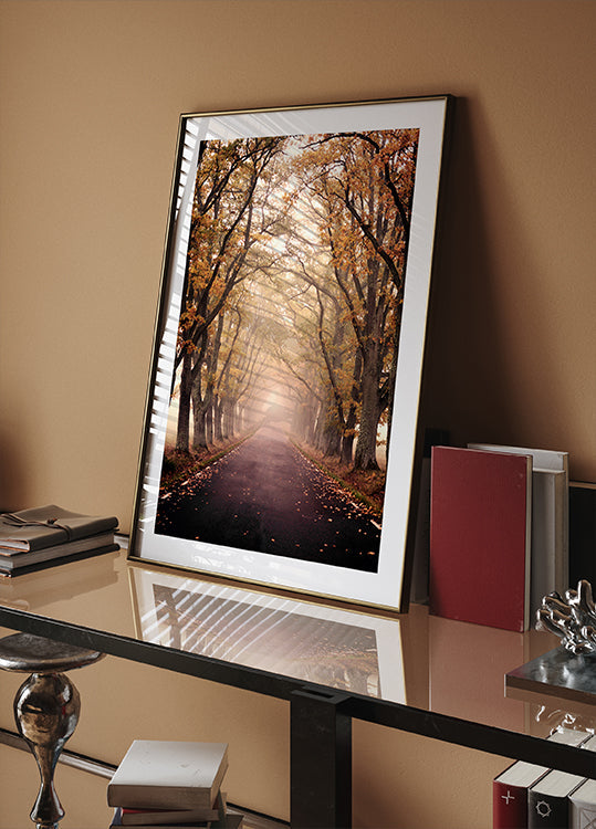 Autumn Avenue Plakat - Posterbox