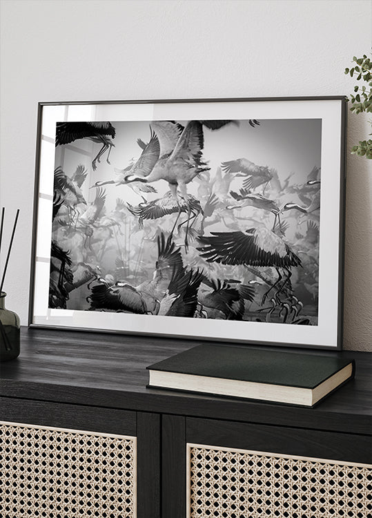 Chaos Plakat - Posterbox