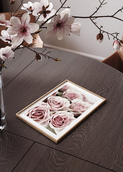 Soft Pink Roses Plakat