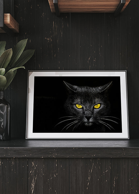 Black Cat Plakat