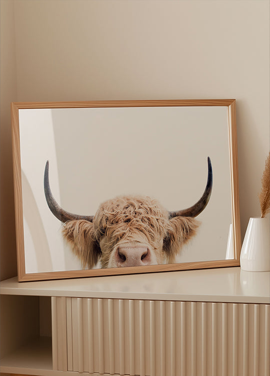 Peeking Cow Plakat