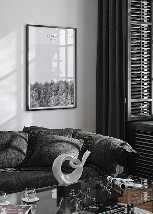 Frosted Tranquility Plakat