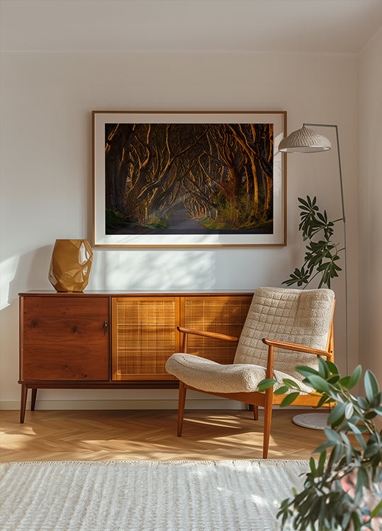 The Dark Hedges in the Morning Sunshine - Posterbox