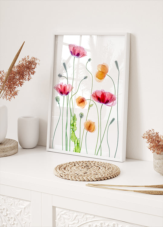 Poppies Plakat