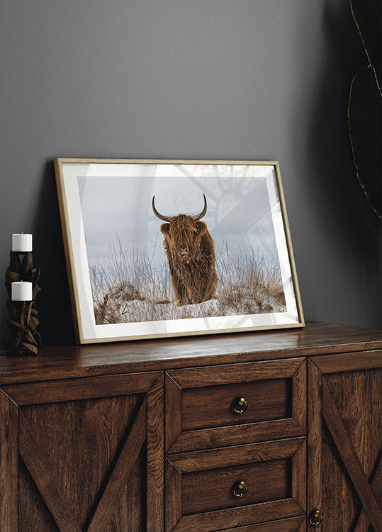 Highlander in Snow Plakat