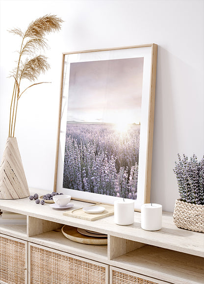 Sunset Over Lavender Fields Plakat