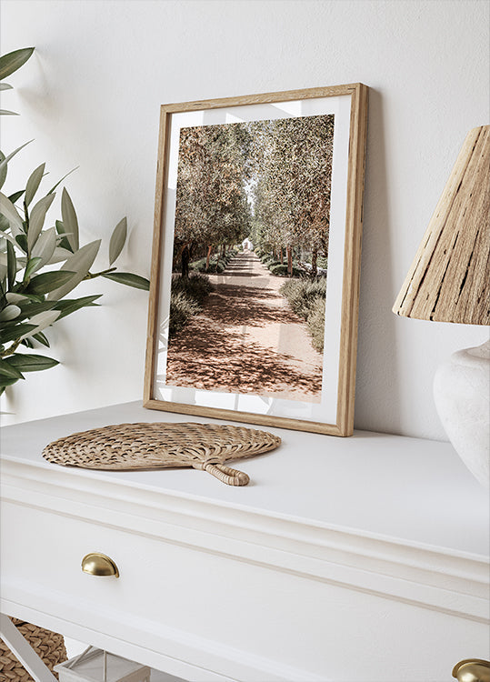 A Serene Tree Lined Path with Sunlight Plakat - Posterbox