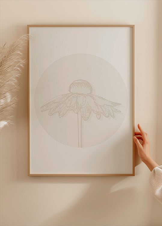 Gaillardia Bloom, Botanical Line Art Plakat