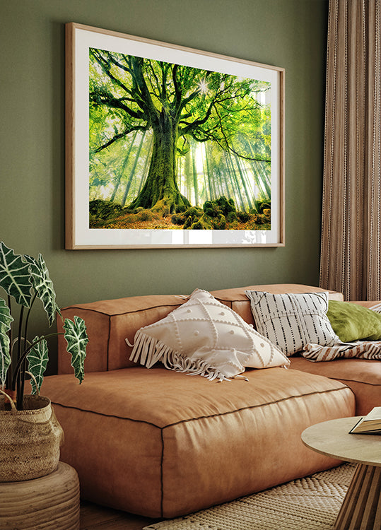 Ponthus' Beech Plakat