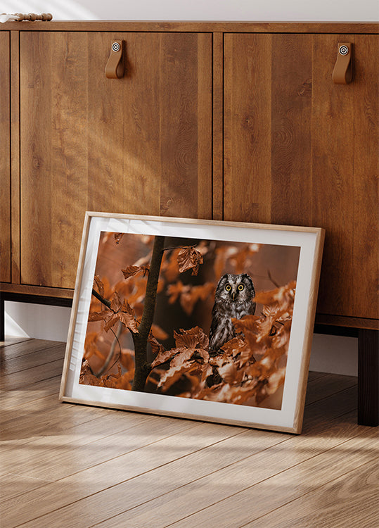 Little Owl in the Autumn Forest Plakat