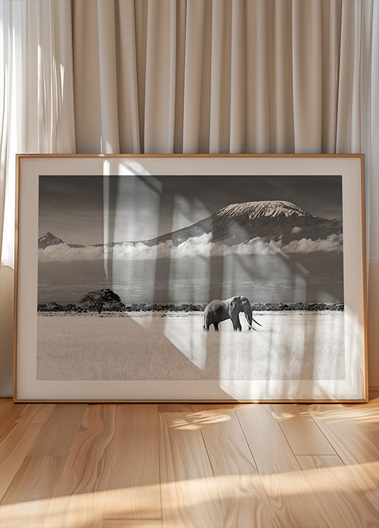 Lost Colors II Plakat