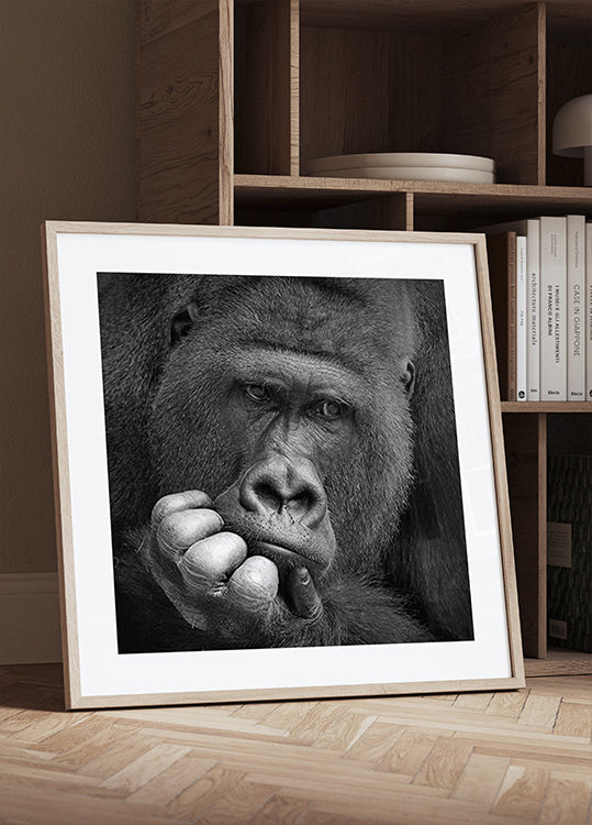 I had a Dream Plakat