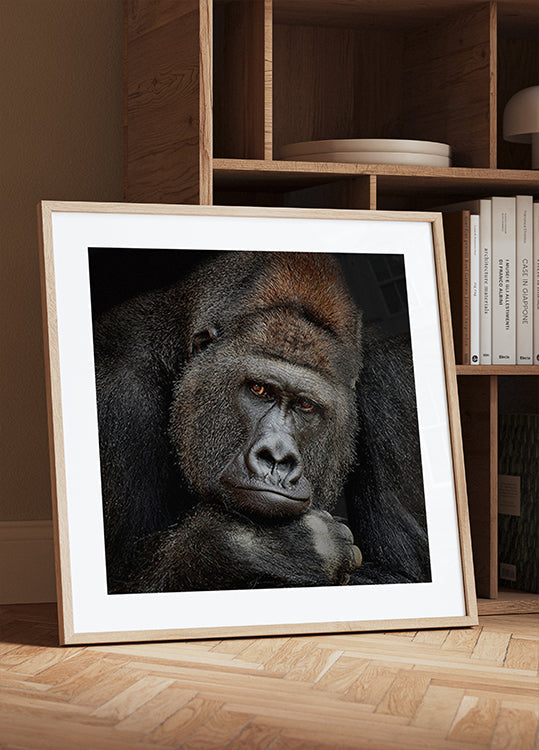 ONE MOMENT IN CONTACT Plakat