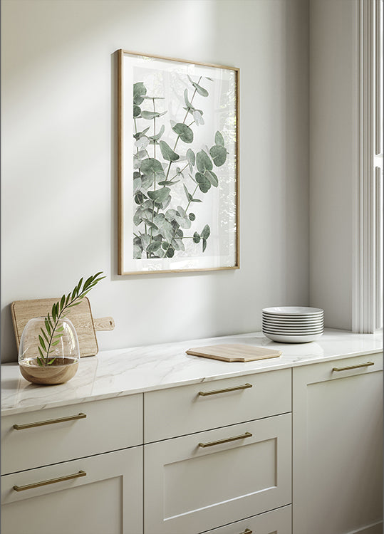 Eucalyptus No.2 Plakat