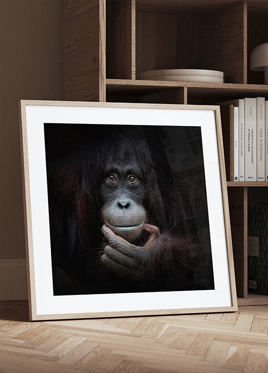 THE MIRROR IMAGE Plakat