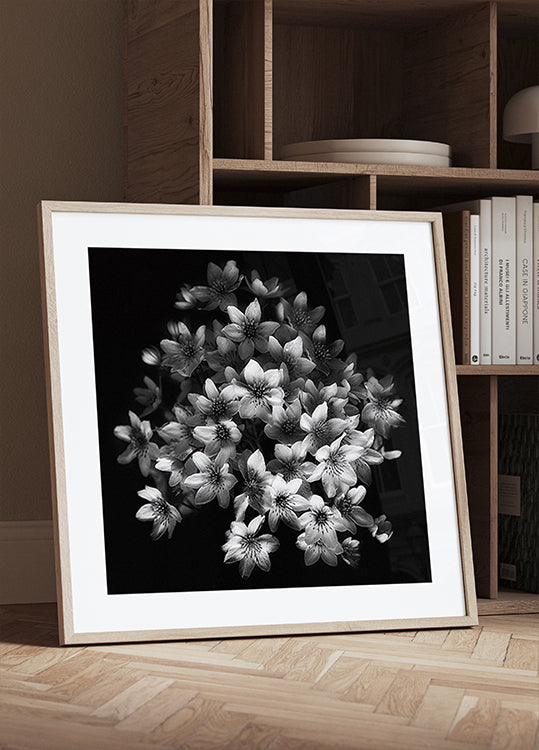 Early Sensation Plakat