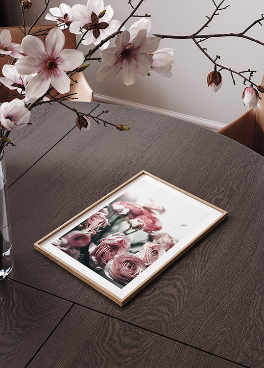 Soft Pink Ranunculus Plakat