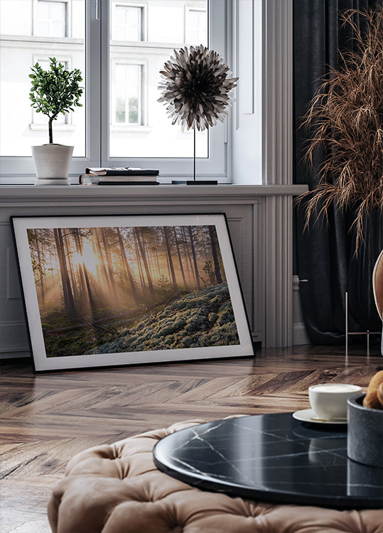 Fog in the forest with white moss in the forground Plakat