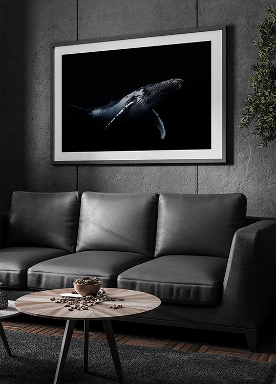Black &amp; Whale Plakat