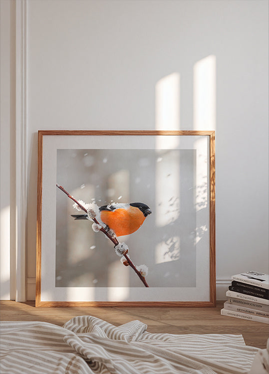 Bullfinch in a snowstorm Plakater